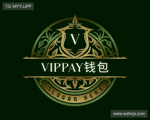 了解VipPay钱包